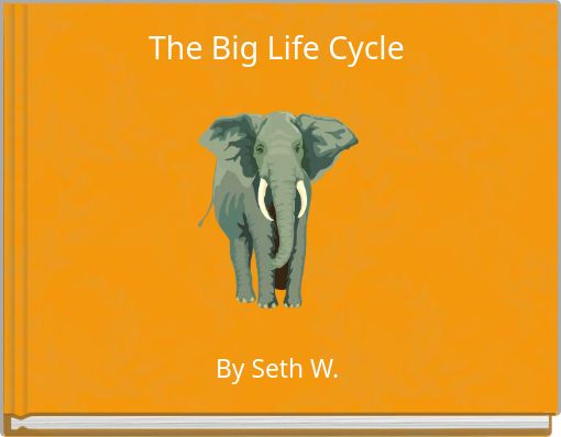 The Big Life Cycle