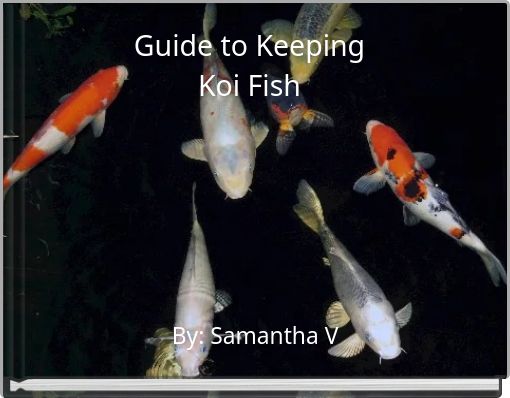 Guide to Keeping Koi Fish