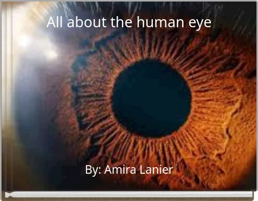 All about the human eye