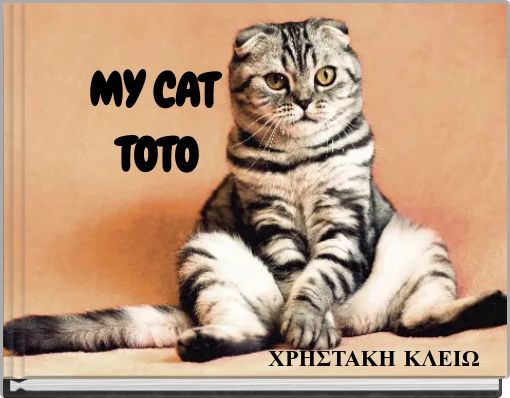 MY CAT TOTO