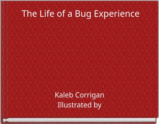 The Life of a Bug Experience
