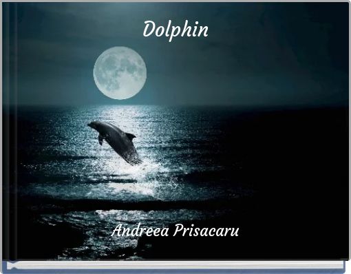 Dolphin