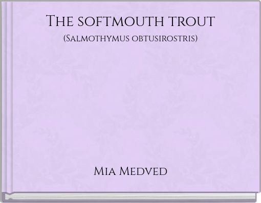The softmouth trout (Salmothymus obtusirostris)