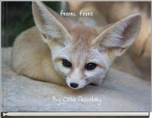 Book Cover for: Fennec Foxes