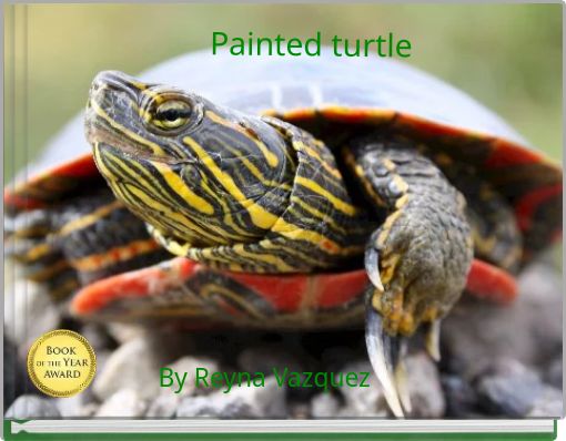 Painted turtle