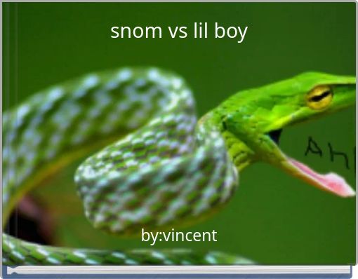 Front cover of 'snom vs lil boy' 