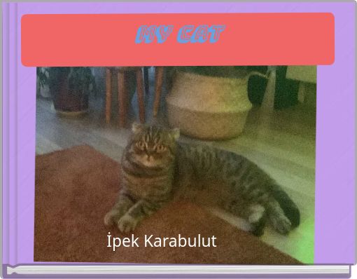 MY CAT