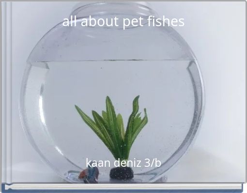 all about pet fishes