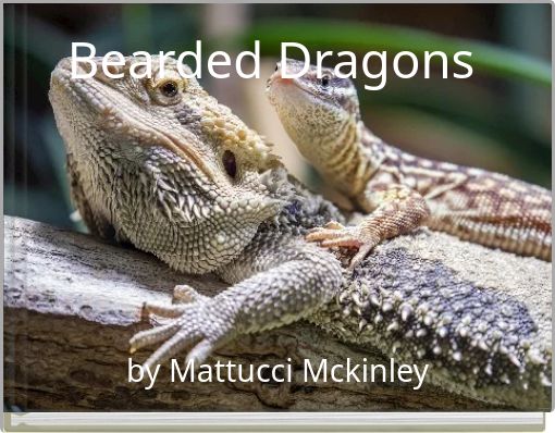 Bearded Dragons
