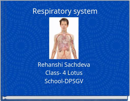 Respiratory system