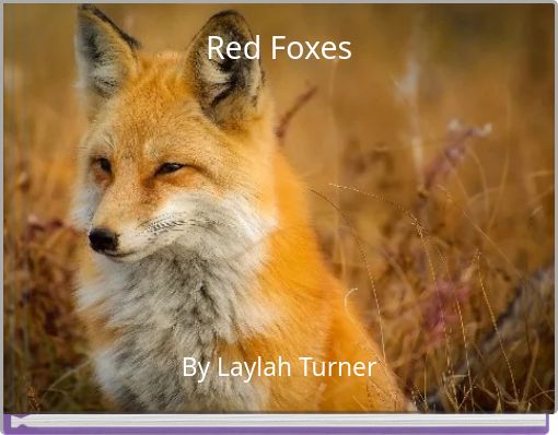 Red Foxes