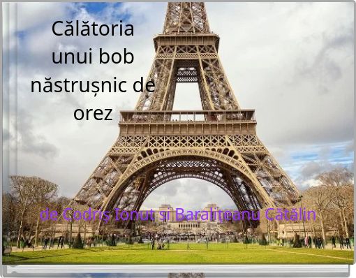 Călătoria unui bob năstrușnic de orez