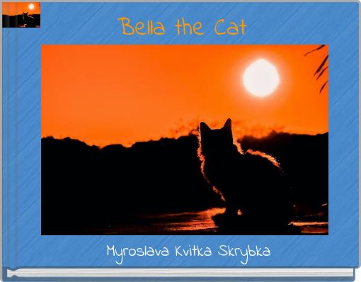 Bella the Cat