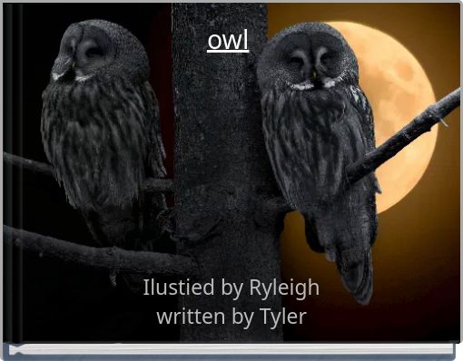 owl