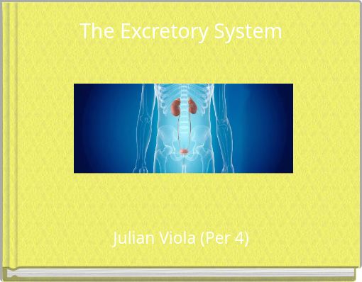 The Excretory System