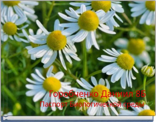 Горобченко Даниил 8Б