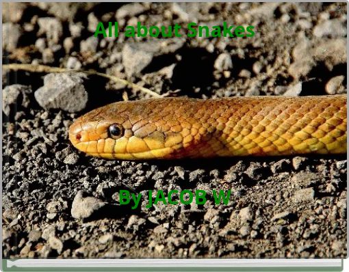 All about Snakes