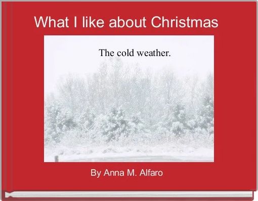 What I like about Christmas 