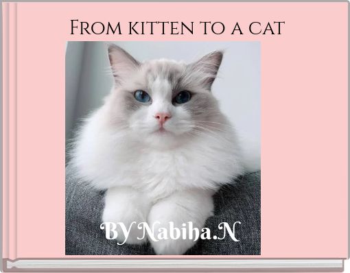 From kitten to a cat