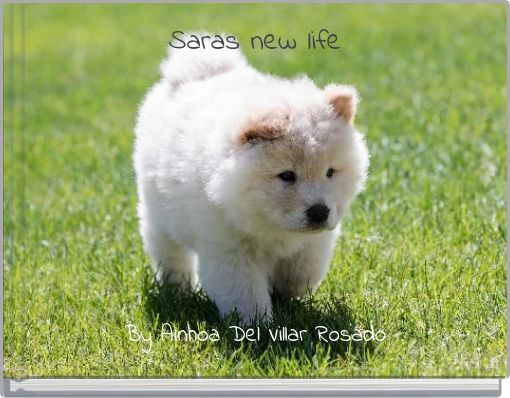 Saras new life