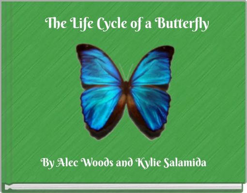 The Life Cycle of a Butterfly