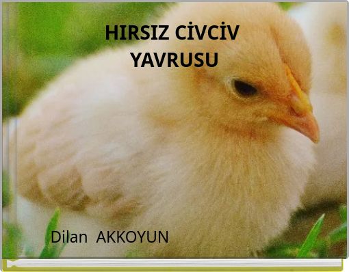 HIRSIZ CİVCİV YAVRUSU