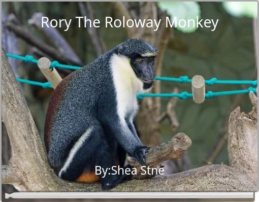 Rory The Roloway Monkey