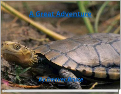 A Great Adventure