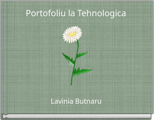 Portofoliu la Tehnologica