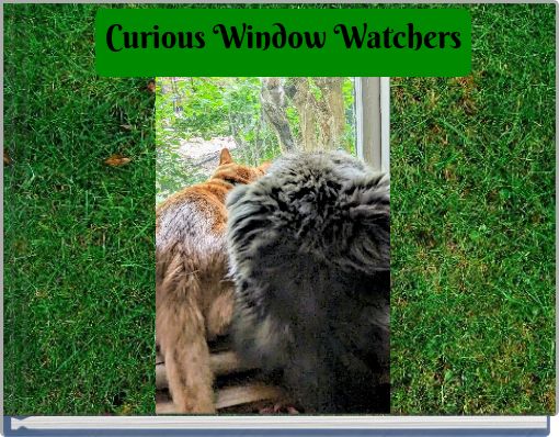 Curious Window Watchers