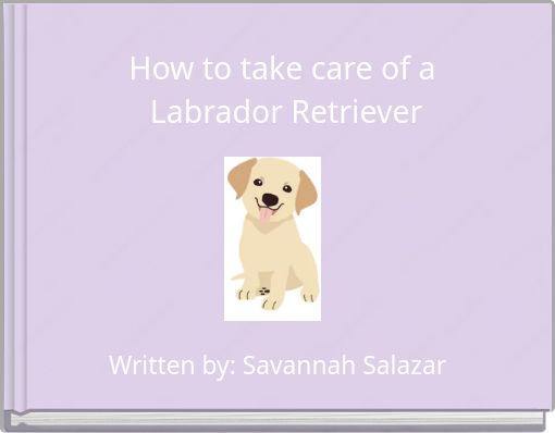 How to take care of a Labrador Retriever