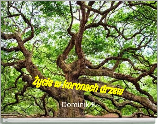Życie w koronach drzew