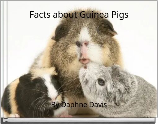 Facts about Guinea Pigs