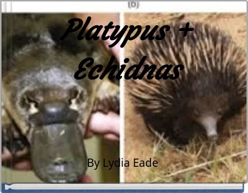 Platypus + Echidnas