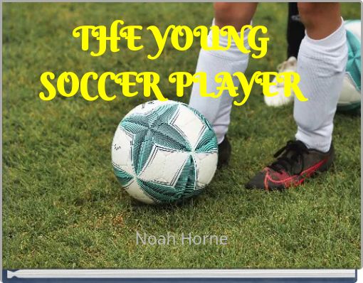 THE YOUNG SOCCER PLAYER