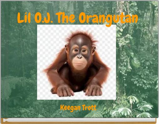 Lil O.J. The Orangutan