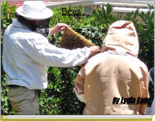 Bees