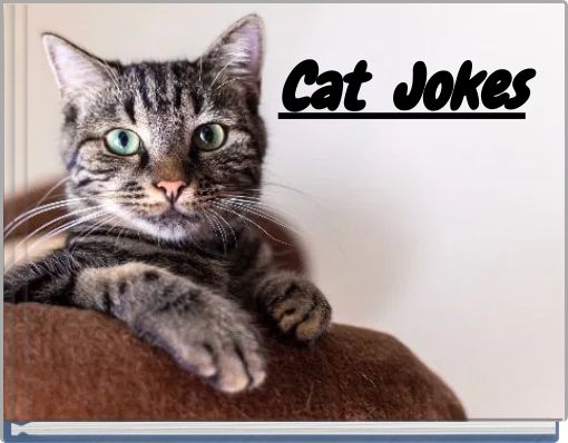 Cat Jokes