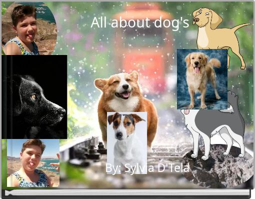 All about dog's