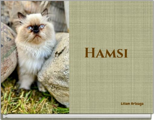 Hamsi