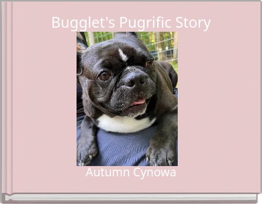 Bugglet's Pugrific Story