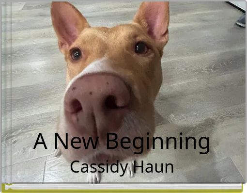 A New Beginning