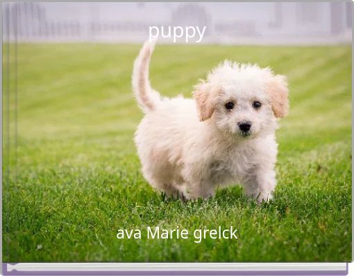 puppy