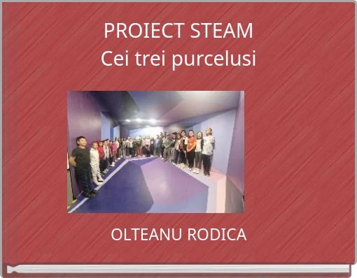 PROIECT STEAM Cei trei purcelusi