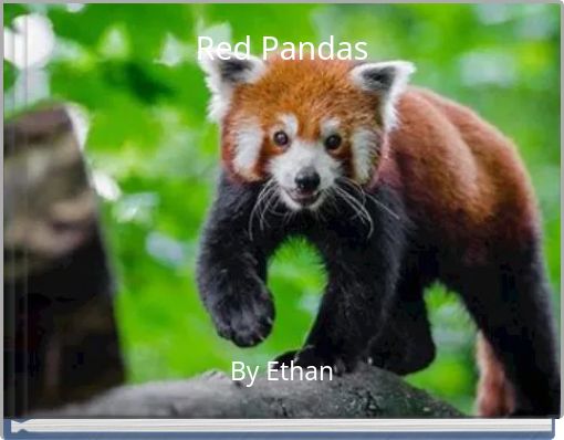 Red Pandas