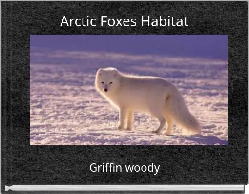Arctic Foxes Habitat