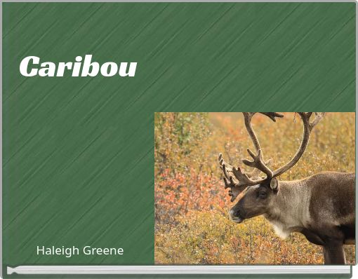 Caribou