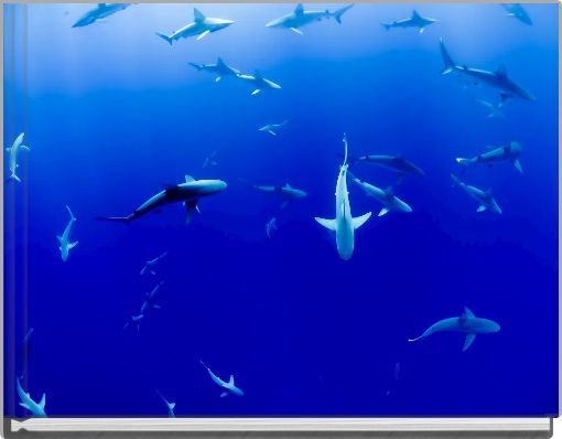 ocean girl and the fish