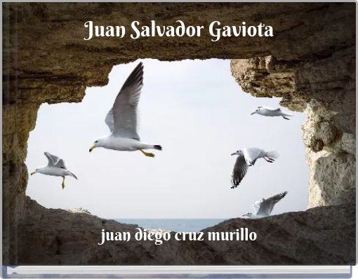 Juan Salvador Gaviota