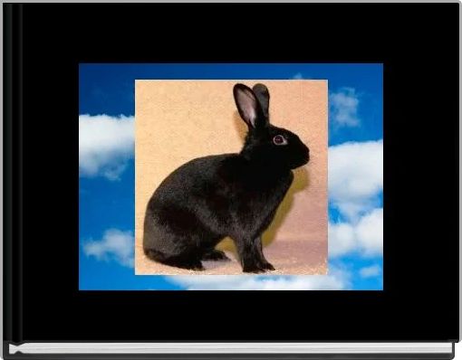 Front cover of 'Justice for Guido ' 